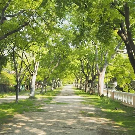 Apartman Curious Crow 1 With Patio By Homeful Homes *